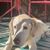 Laura Van Noy's profile image