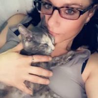 Desiree McCorkle's profile image
