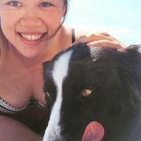 Sin Wei Lim's profile image