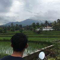 M Faisal Fadil's profile image