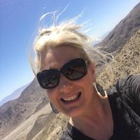 Tiffany Taylor's profile image