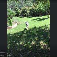 Judy Stuckman's profile image