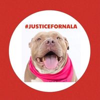 Kim Altschul's profile image