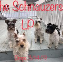 Louis Crawford's profile image