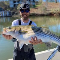 Adam Ratcliff's profile image