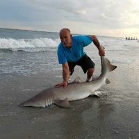 Mark Shaw's profile image