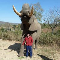 David Kline's profile image