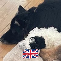 June Burton's profile image
