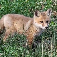 Molly Scott's profile image