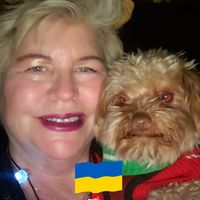 Suec Wick's profile image
