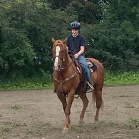 Alyssa Duke's profile image