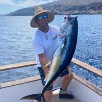 Pat Wade's profile image