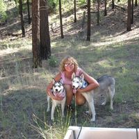 Irene Phillips's profile image