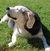 Tamara Tolbert's profile image