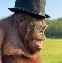 Robert Frew's profile image