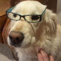 Murphy Ficke's profile image