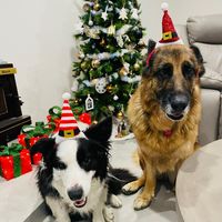 Tina Turner's profile image