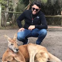 Carlos Eduardo D'Elboux's profile image