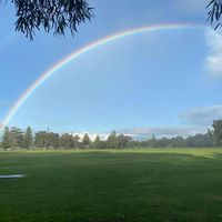 Antonio Montemaggiori's profile image