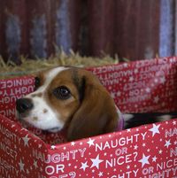 Jasmin Cockram's profile image