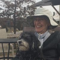 Marsha Bottegal's profile image