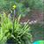 Debbie Cenci Hanson's profile image