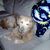 Cbonelo Mlaba Thisha's profile image