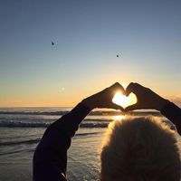 Carol White's profile image