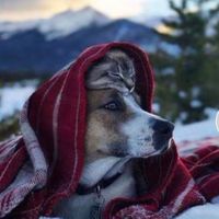 Parker Parkercito's profile image
