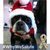 Donna Marie Watson's profile image