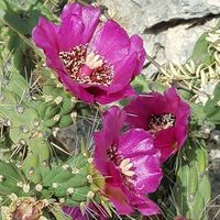Sheila Berens's profile image