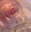 Renea's profile image