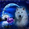 Kim R.'s profile image