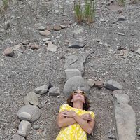 Krista M Lehtola's profile image