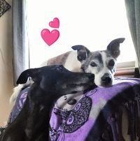 Jody Luff's profile image
