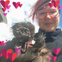 Layla Morrison Ferguson's profile image