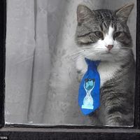Lorraine Harvey's profile image