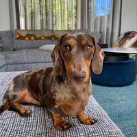 Kelly Grace's profile image