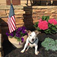 Kimrose Healy Dean's profile image