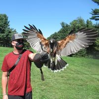 Bill Baldwin's profile image