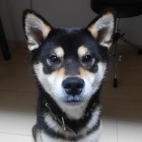 Jesse Parker's profile image