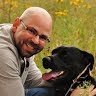 Mark Ellingsberg's profile image