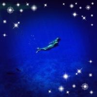 Kris Sea's profile image