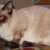 Joan Chwick Katz's profile image