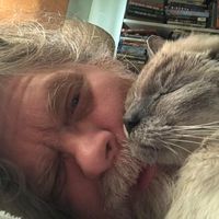 Michael Kenney's profile image