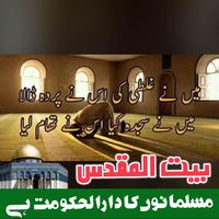 Saba Shah's profile image