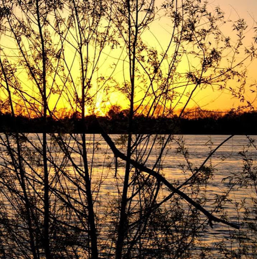 Mila's profile image