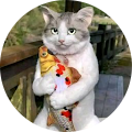 Alice Mosier's Profile Image