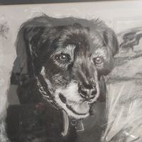 Lori McCloughan's profile image