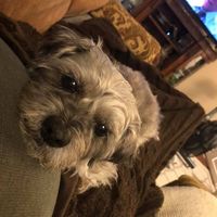 Michael Elledge's profile image